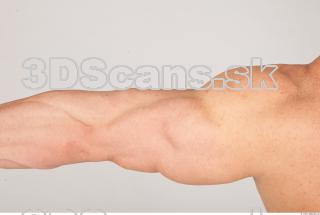 Arm texture of Dale 0002